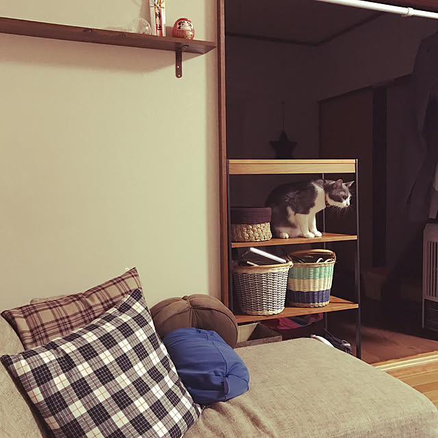 hacchiさんの実例写真