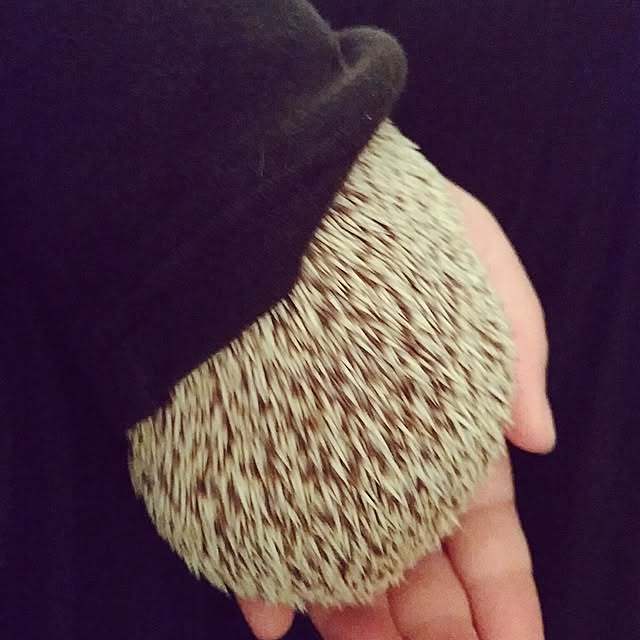 kuruさんの実例写真