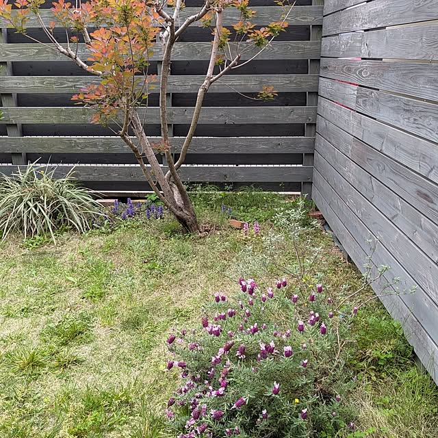 Ruii25さんの部屋