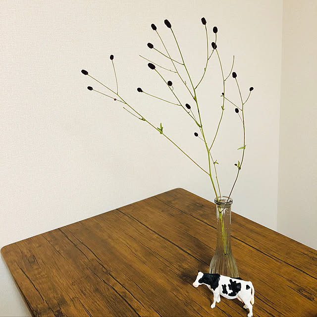 cowさんの実例写真