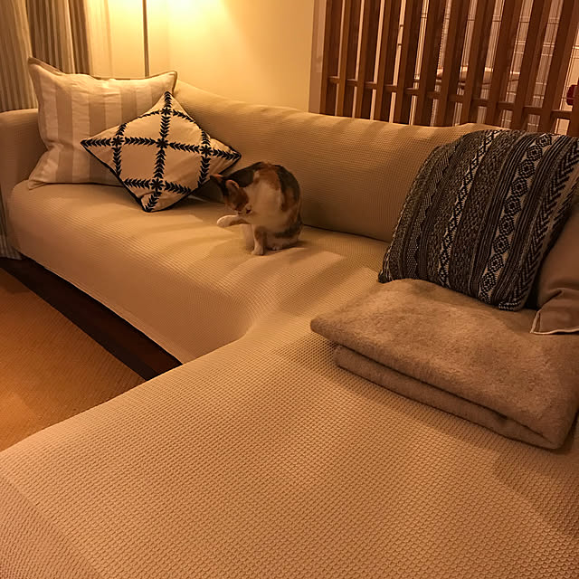 実例写真