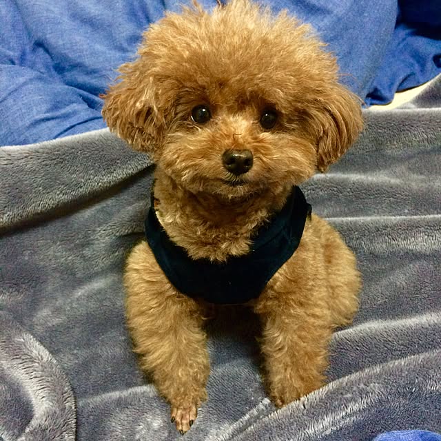 Momokoさんの実例写真
