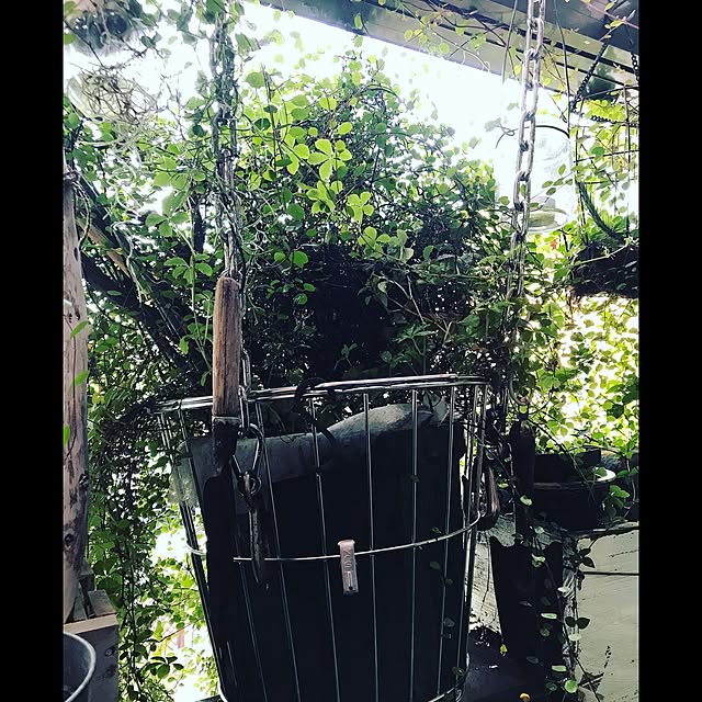 abandonedmineさんの実例写真