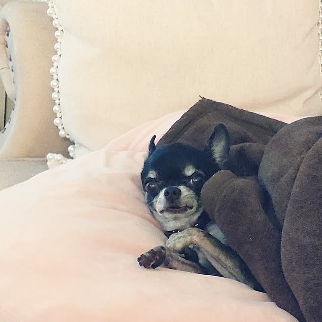 Bienvenueさんの部屋