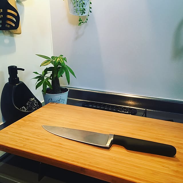 NOAHさんの実例写真