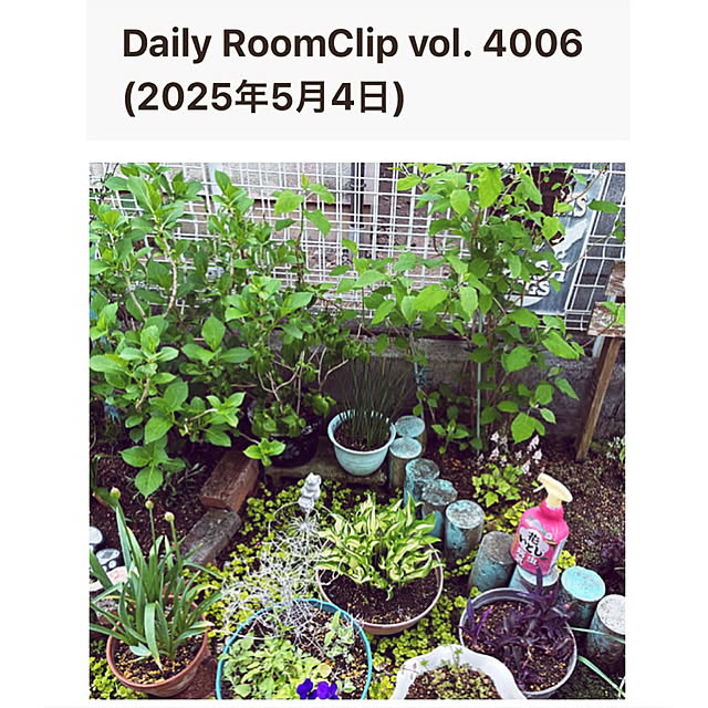 CoCo0617さんの実例写真