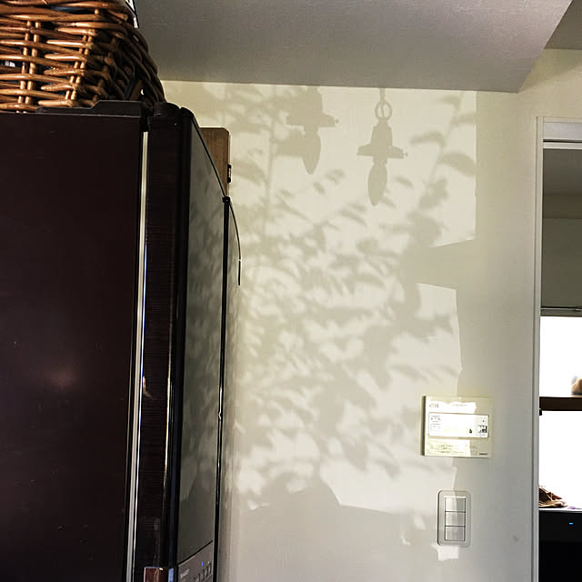 mamizoさんの実例写真