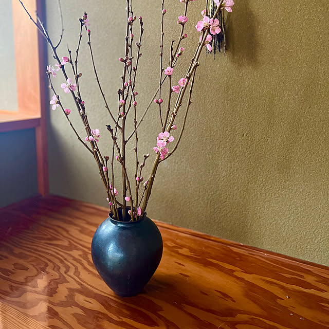 Erikoさんの部屋