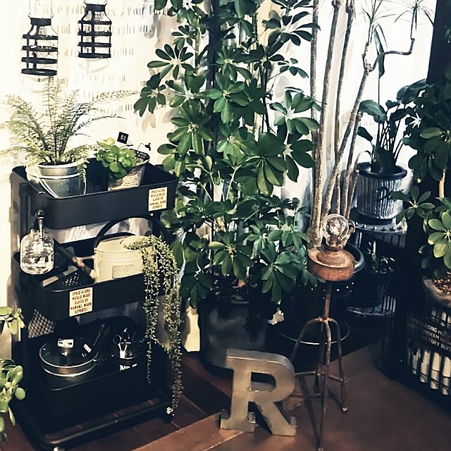 reksさんの実例写真