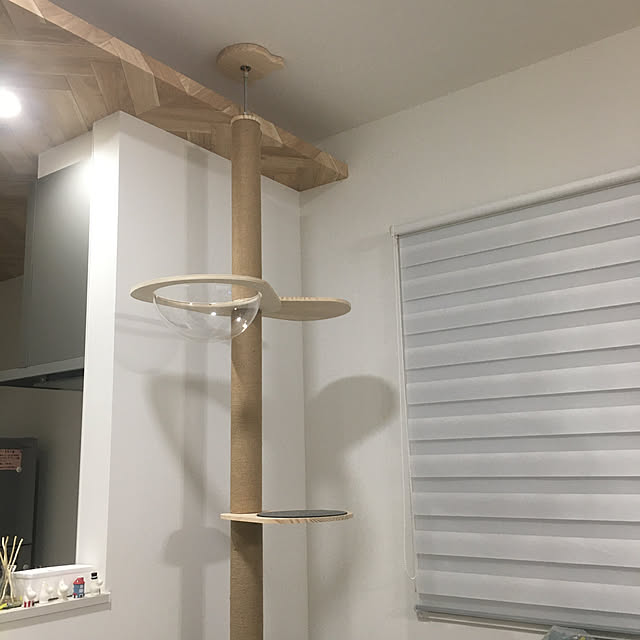 kumiNyanさんの実例写真