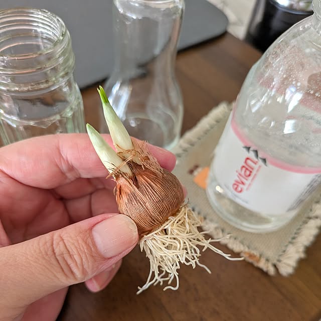 mi-saさんの部屋