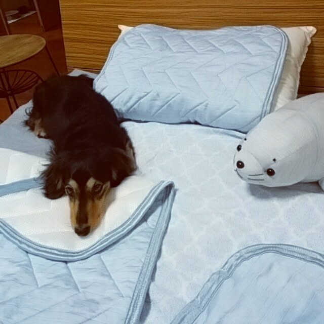 reonさんの実例写真