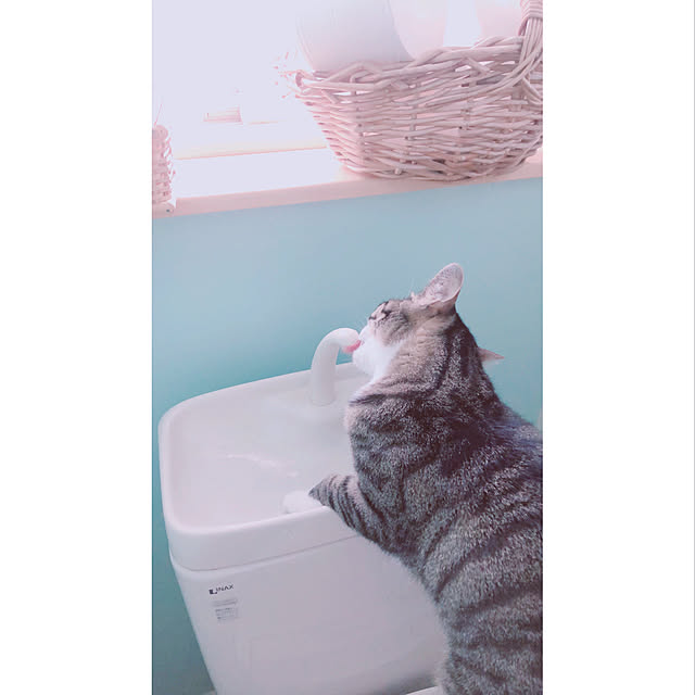 milkcocoaさんの実例写真