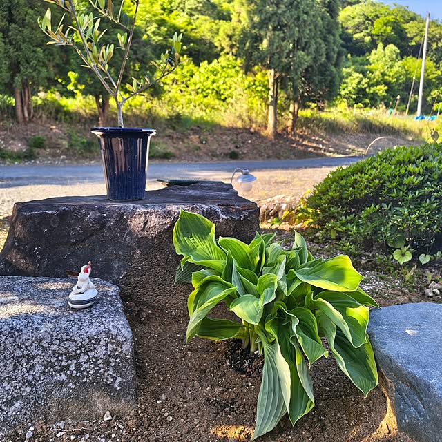 Rubiconさんの部屋