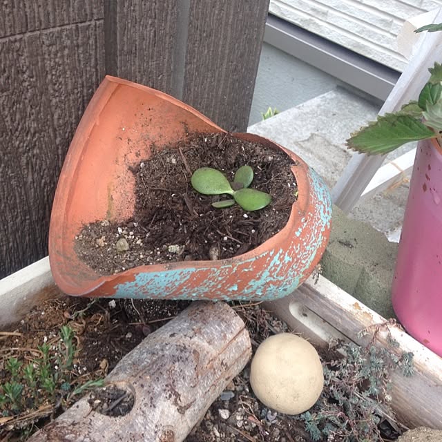 izuhanさんの実例写真