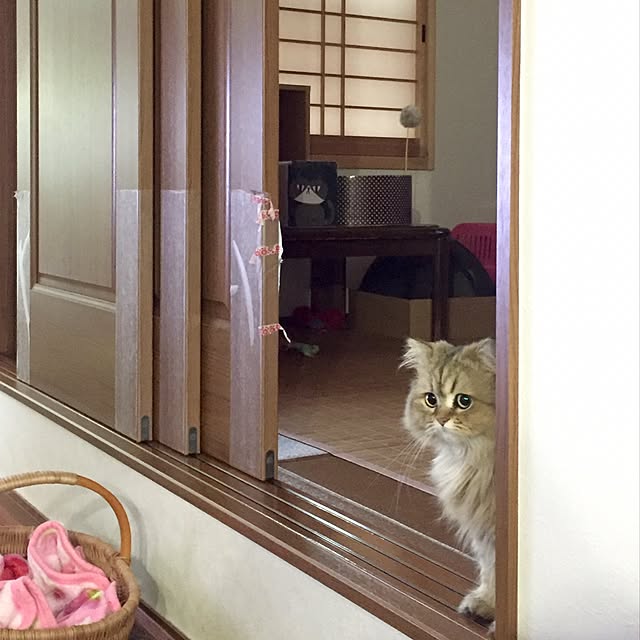 butachanさんの実例写真