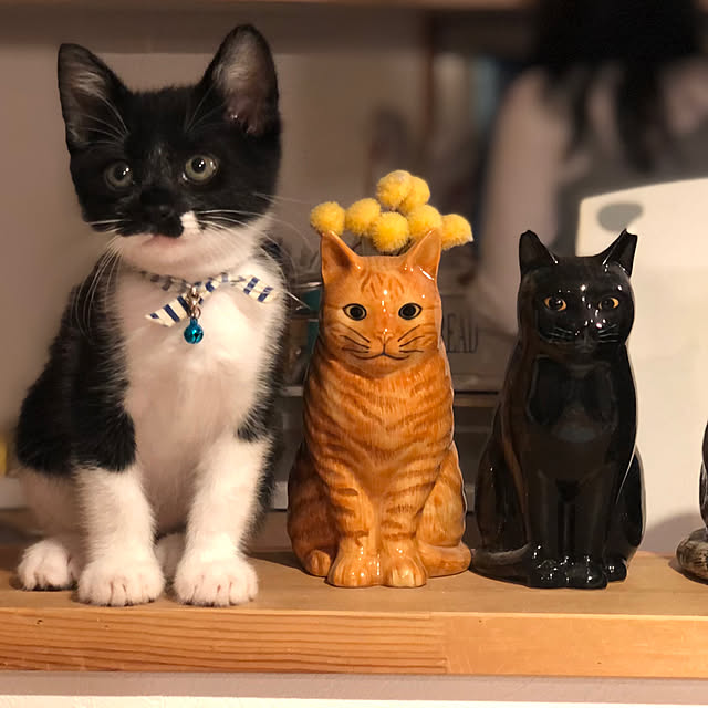 Hirahiraさんの実例写真