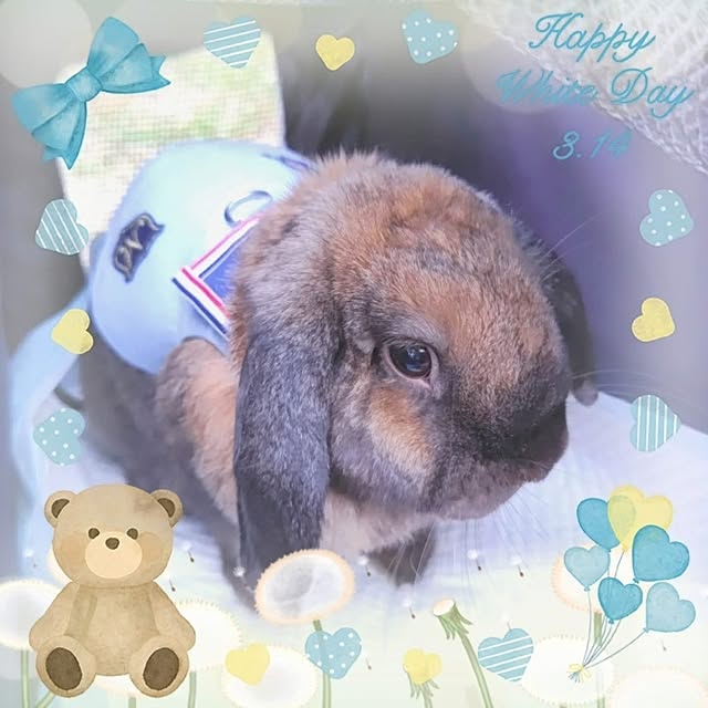 mariaさんの部屋