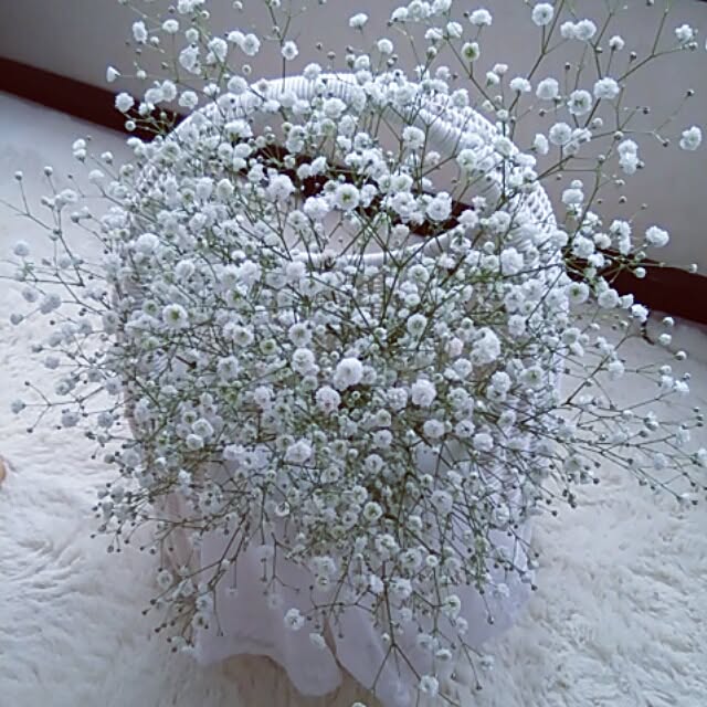 a.roseさんの実例写真