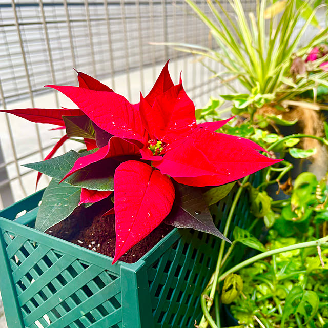 tututu0204さんの部屋