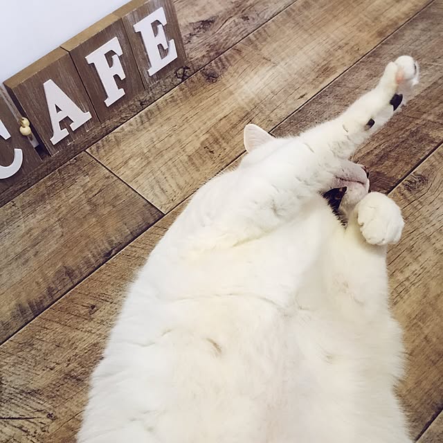 miさんの実例写真