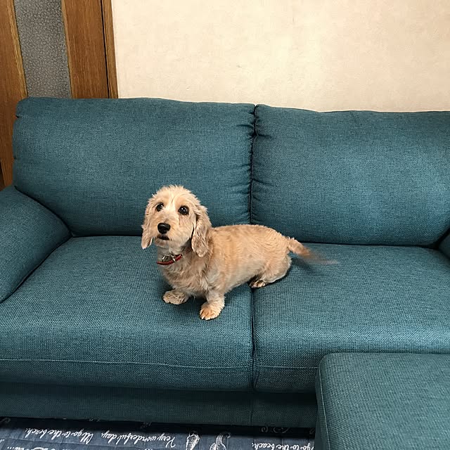 sumi.さんの実例写真