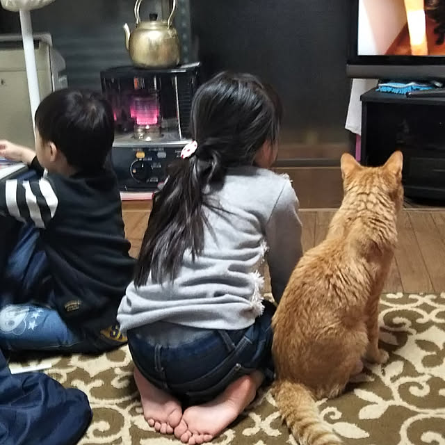 renさんの実例写真