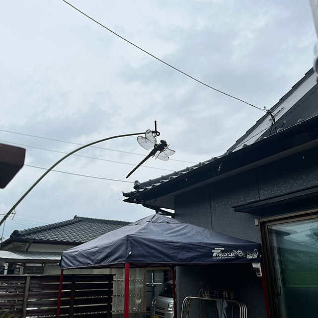 nobuさんの部屋