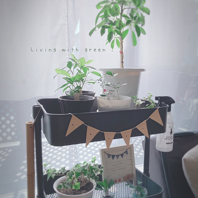 -Riley-mama.-さんの実例写真