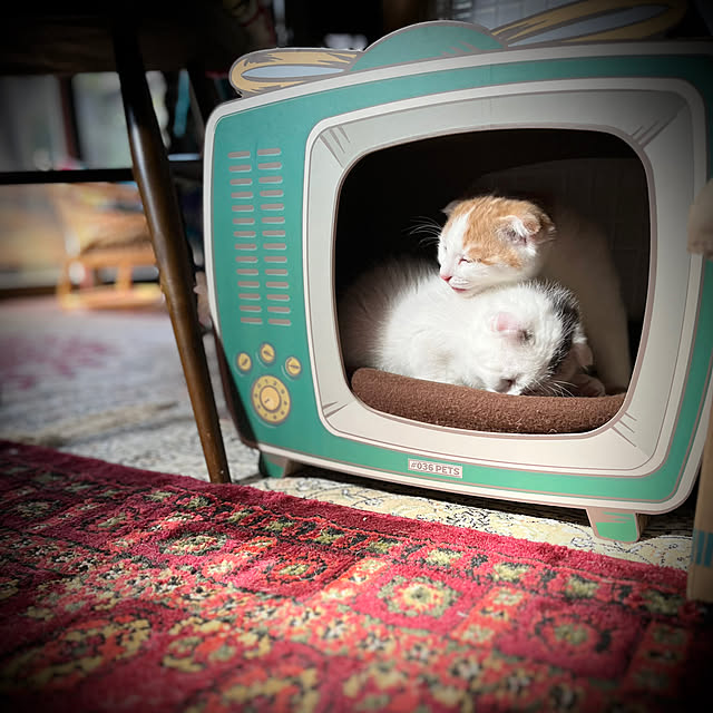marusanさんの部屋