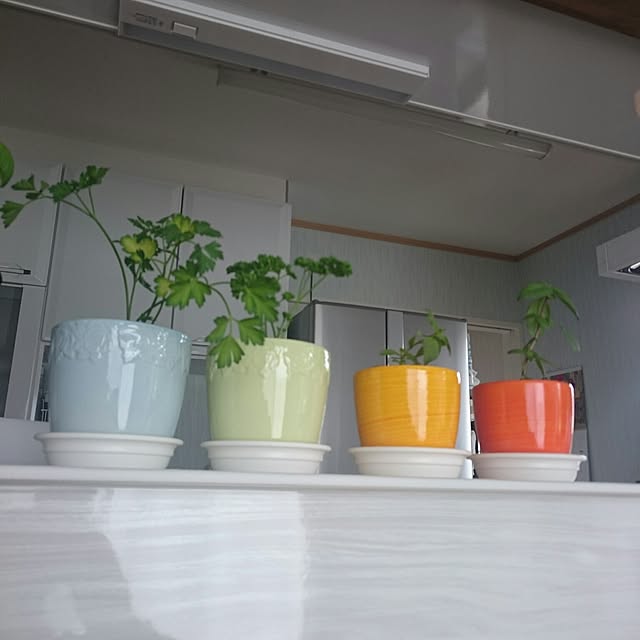 keeさんの実例写真