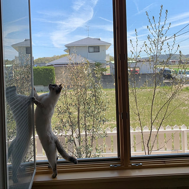 Moricさんの実例写真
