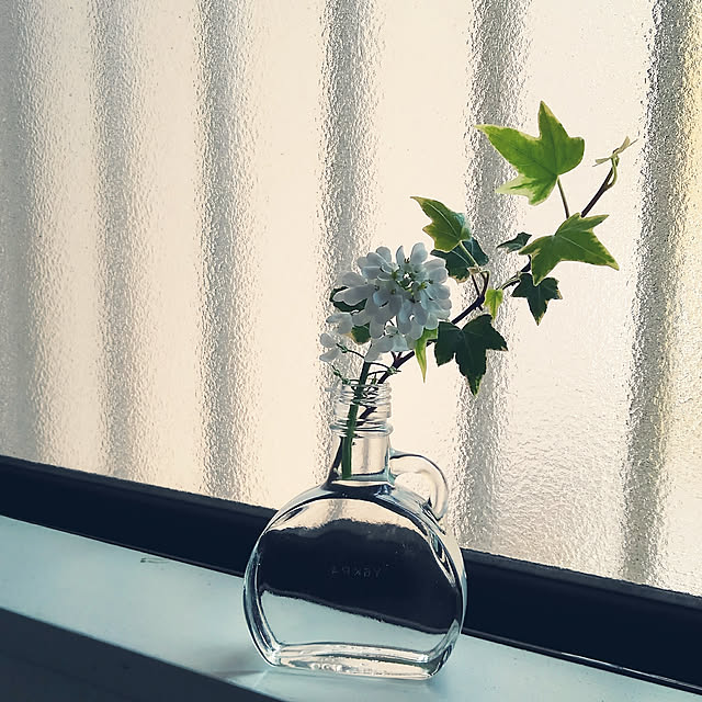 Renさんの実例写真