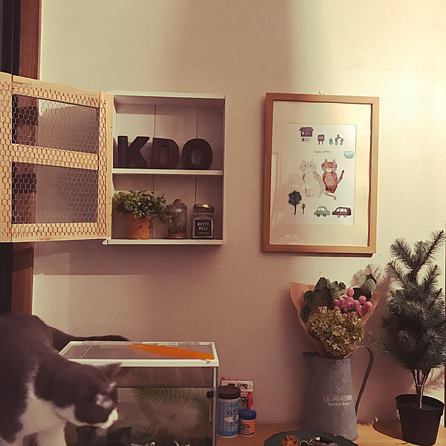hacchiさんの実例写真