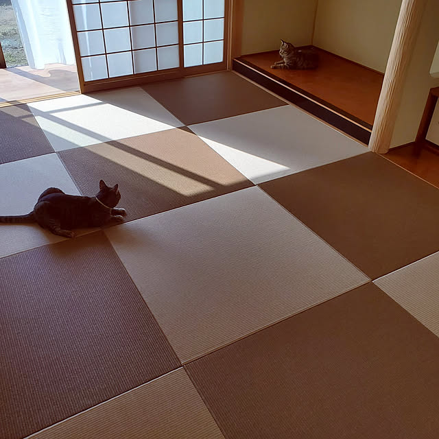 nonchanさんの実例写真