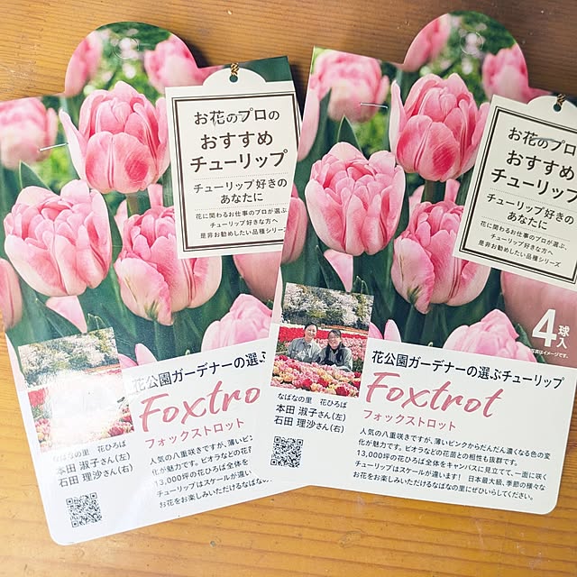 Shion+さんの部屋