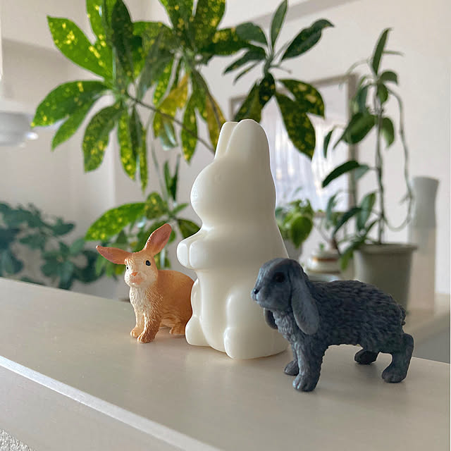 kaoさんの実例写真