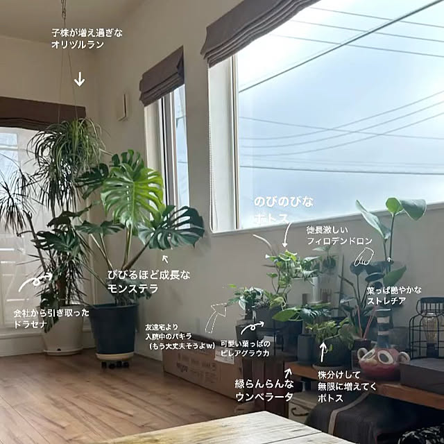 mohirocoさんの実例写真
