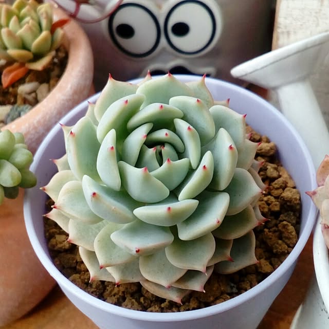 VERANDARJUNさんの実例写真