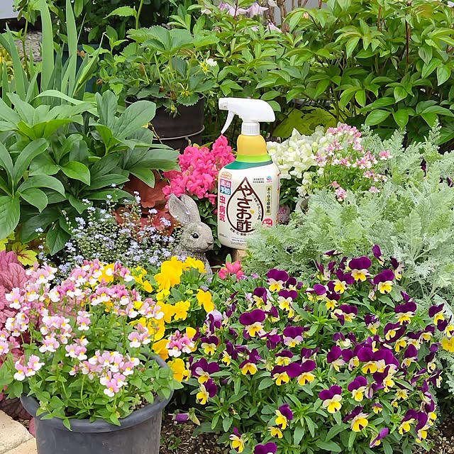 mutsuさんの実例写真