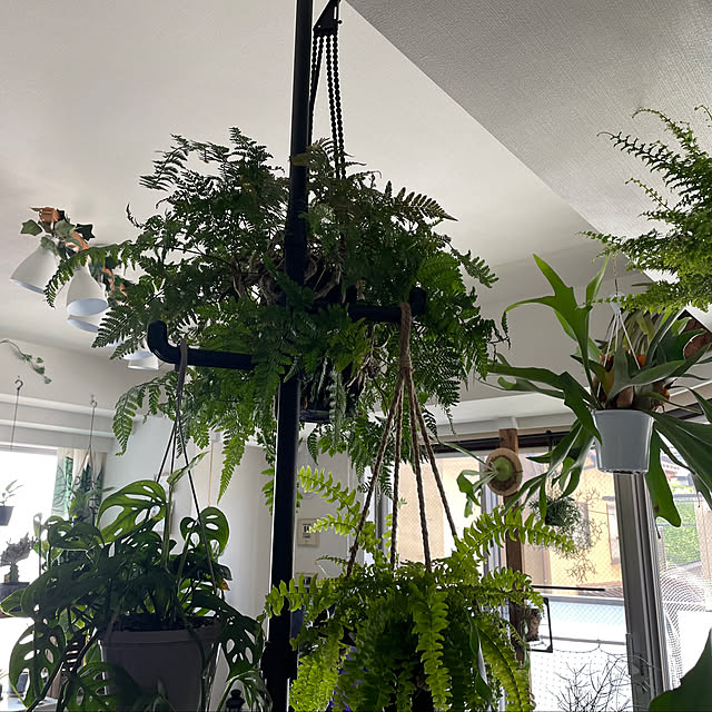 nanataroさんの実例写真