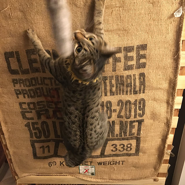 Mさんの実例写真