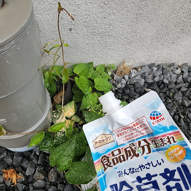 kossyさんの部屋