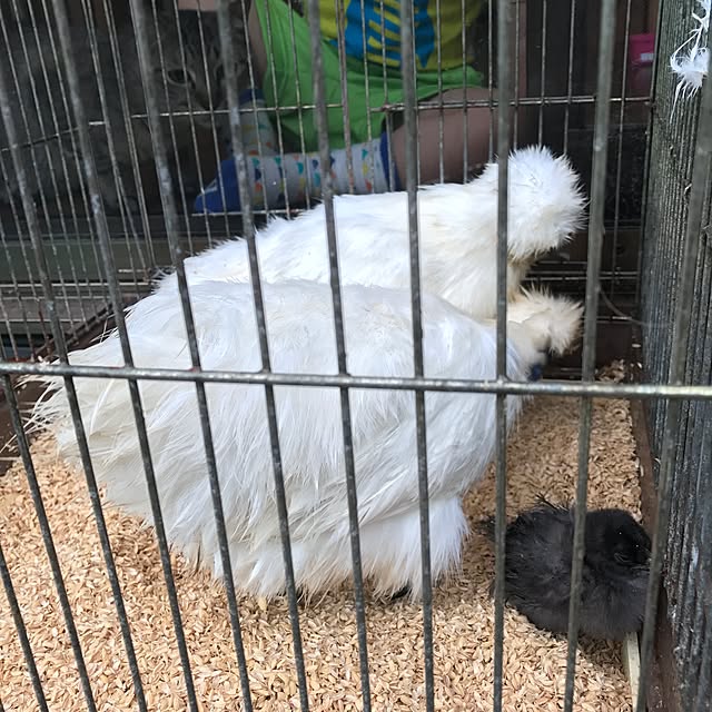 pepeさんの実例写真
