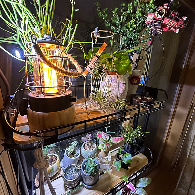 yaiyaiさんの実例写真