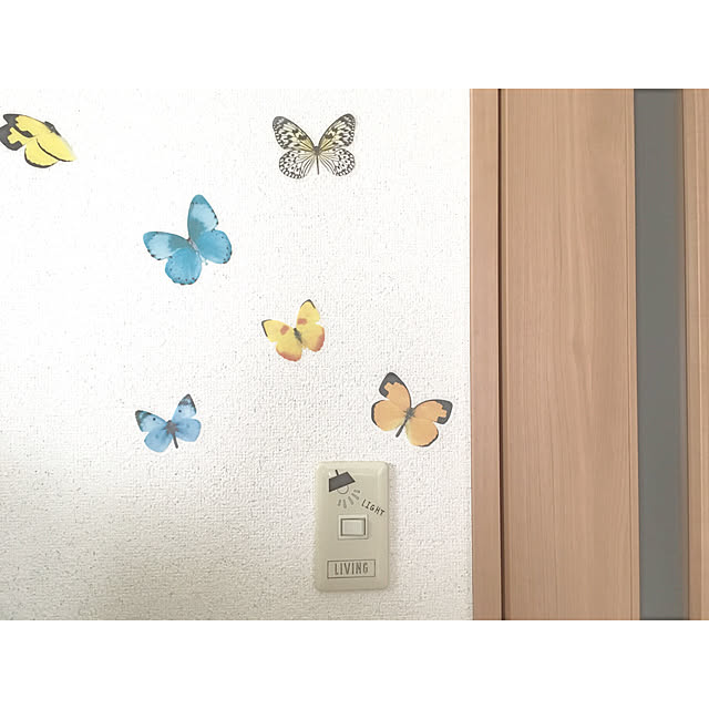 tanami.0w0さんの実例写真