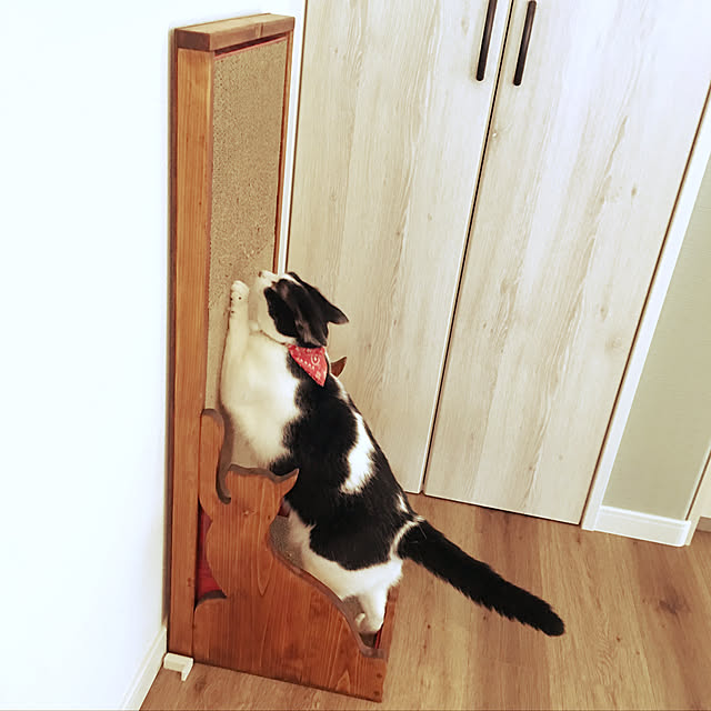 studiolautさんの実例写真