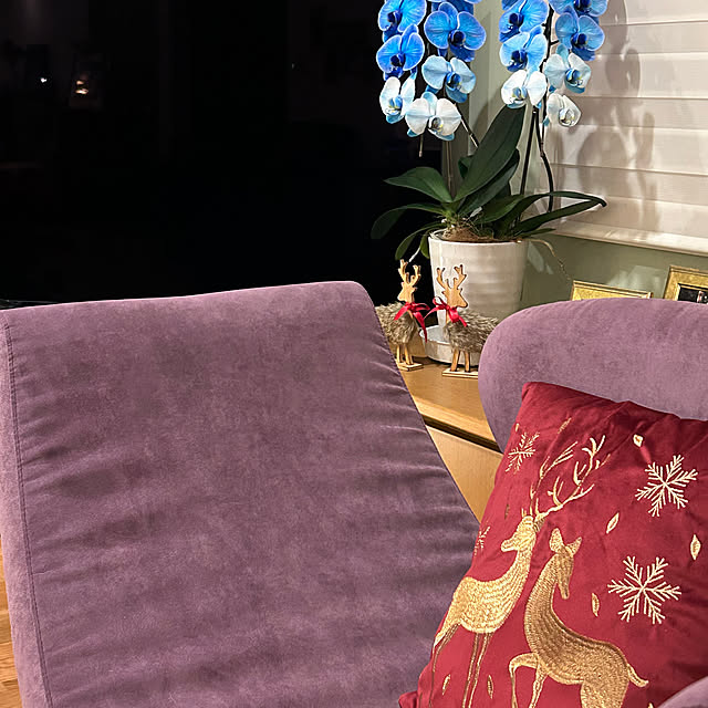 Ochibiさんの部屋