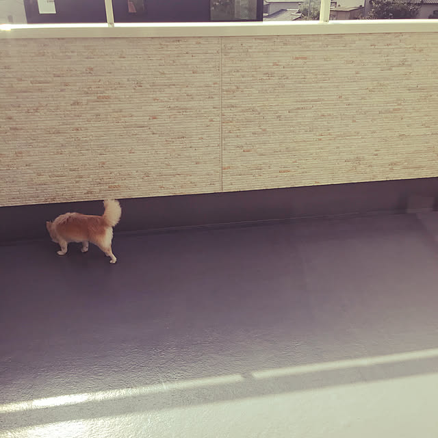 Sweetpeaさんの実例写真