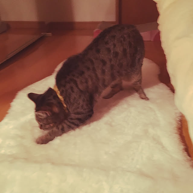 Mさんの実例写真